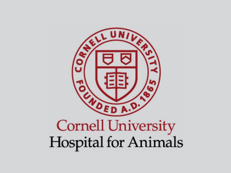 TeleVet Partners with Cornell University Hospital for Animals - TeleVet