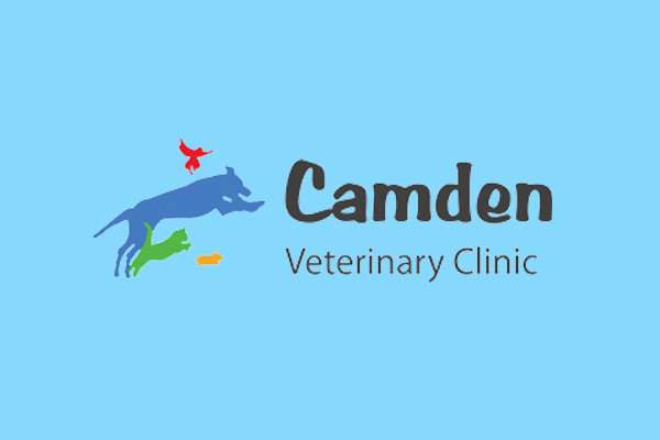 Camden Veterinary Clinic Shares Their Secret for Stress-free Client  Communication - TeleVet